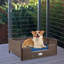 Canapé en rotin pour chien avec coussin en mousse-1765857772-1765857773