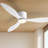 Jamarreon 42''/52'' Flush Mount Dimmable Ceiling Fan with LED Lights and Remote Control-1566889514