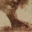 Undone Cypress Painting by Coup D'Esprit-1233353170