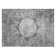 Bergquist Oriental Indoor / Outdoor Rug