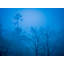 Himalaya Fog Print by Mark Paulda-71199418-132511213
