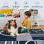 Geometric Machine Printed Area Rug-131399064-131399046