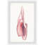«Lembo Selectman Ballet Shoes», reproduction encadrée-2007411676