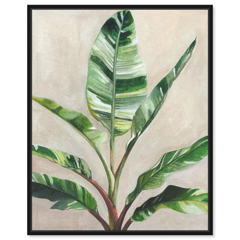 Jolies plantes II - Impression sur toile, Toile avec cadre flottant noir, H 21 po x l 17 po x P 1,8 po