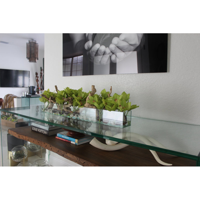 Driftwood Cymbidium Orchids Centerpiece in Glass Planter, 8" H x 48" W x 6" D, Green