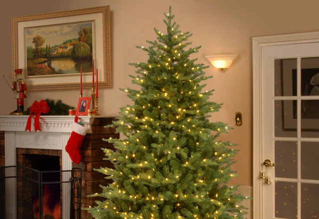 Just for You: Christmas Trees