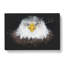 Bald Eagle Bird - Wrapped Canvas Painting-56645640