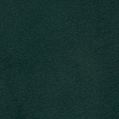 Velvet Emerald Green Sample