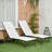 Outdoor Metal Chaise Lounge Set