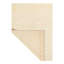 Floral Area Rug in Ivory