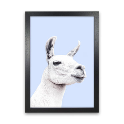 Blue Llama 1 Piece Wall Art