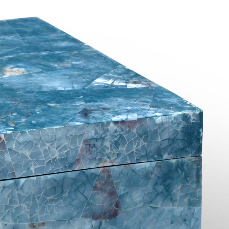 Hammer Shell Decorative Box