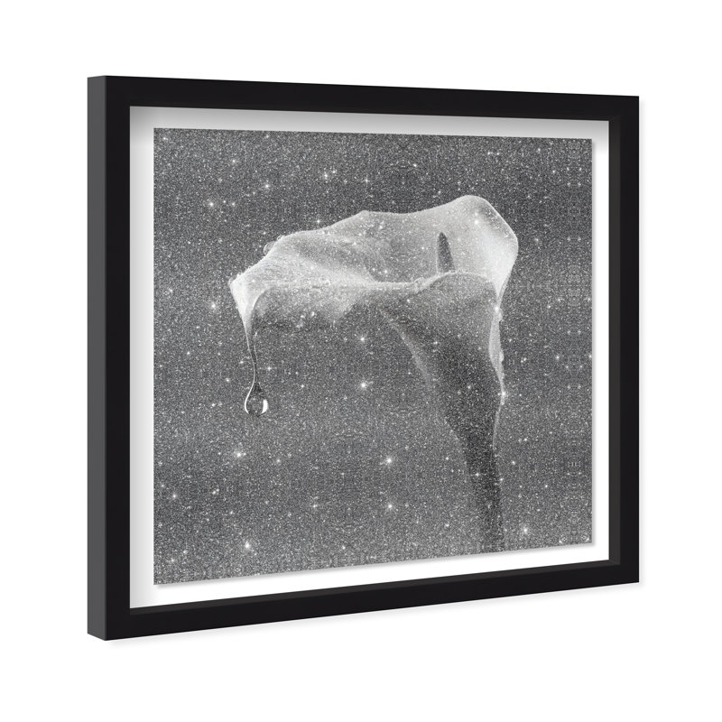 Midnight Rain Shadowbox Floral & Botanical Print by Oliver Gal, Black Frame, 12 x 12, 41.5"H x 41.5"W, Black Shadowbox