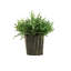 Faux Plant in Ceramic Planter-1377402222