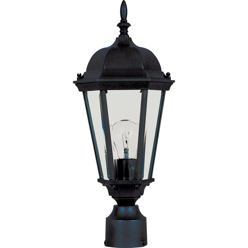 Treshawn Transparent Lantern Head, Black