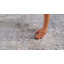 Tapis gris / beige Stella-60303328
