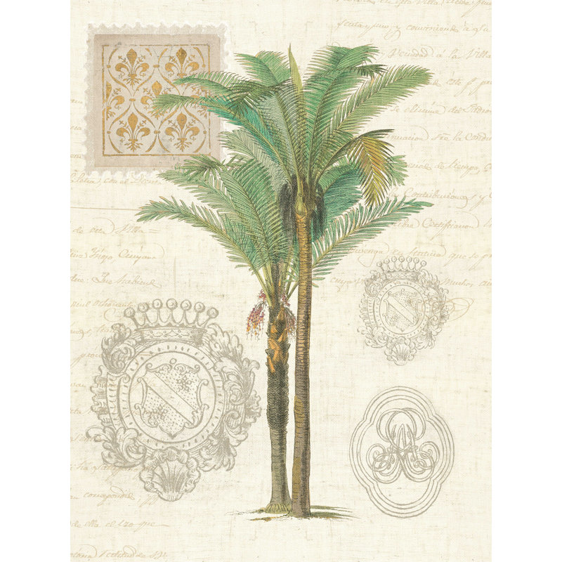 «Vintage Palm Study II», reproduction sur toile tendue, H 24 po x l 18 po