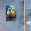 'Small Birds Cocks And Blue' by Momart Acrylic Glass Wall Art, 16" x 24"-1960196046