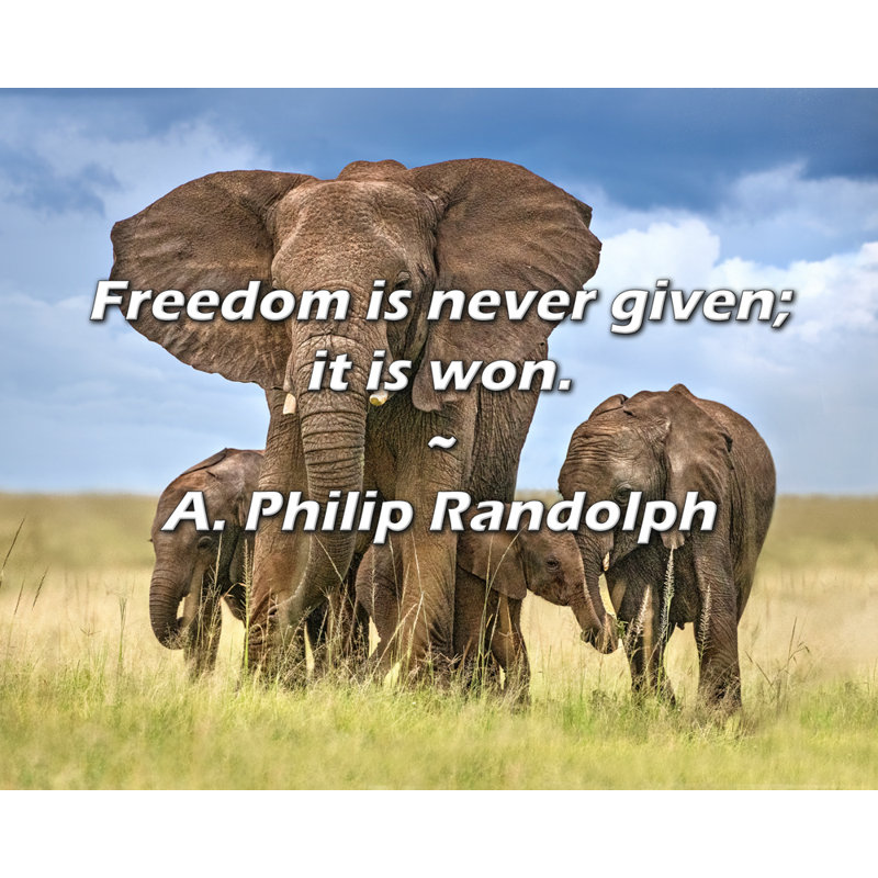 A. Philip Randolph Quote: Freedom is never given; it is won., 20" H x 24" W