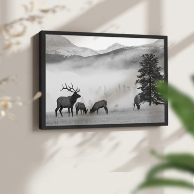 Élan des montagnes - reproduction encadrée - réarmable