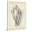 Single Picture Frame Print-165818366