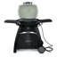 Weber Q 3200, Titanium-43410565