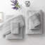Ensemble de serviettes 100% coton Annaleice-1876525862