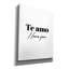 Art mural épique Graffiti «I love you in espagnol» par Seven Trees Design, 26 po x 34 po