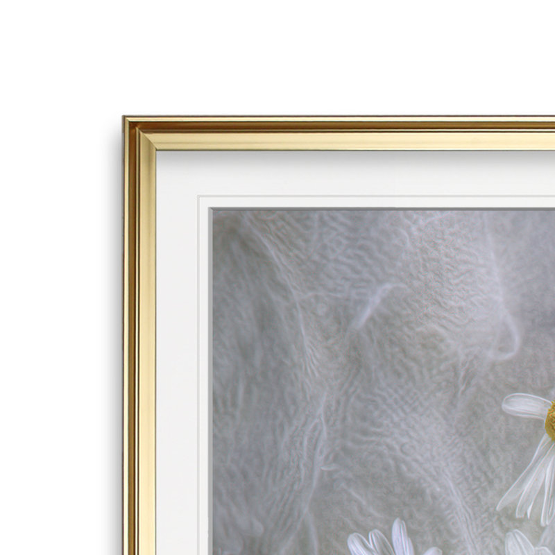 Marguerites - reproduction de photo, H 17,5 po x l 17,5 po, Impression encadrée, Doré