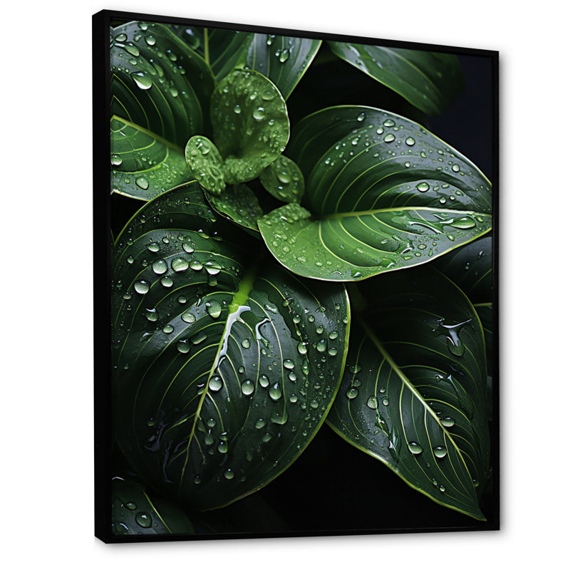 Raindrop Over Green Leafs - Floral & Botanical Canvas Prints, H 20 po x l 12 po x P 1 po, Cadre flottant noir