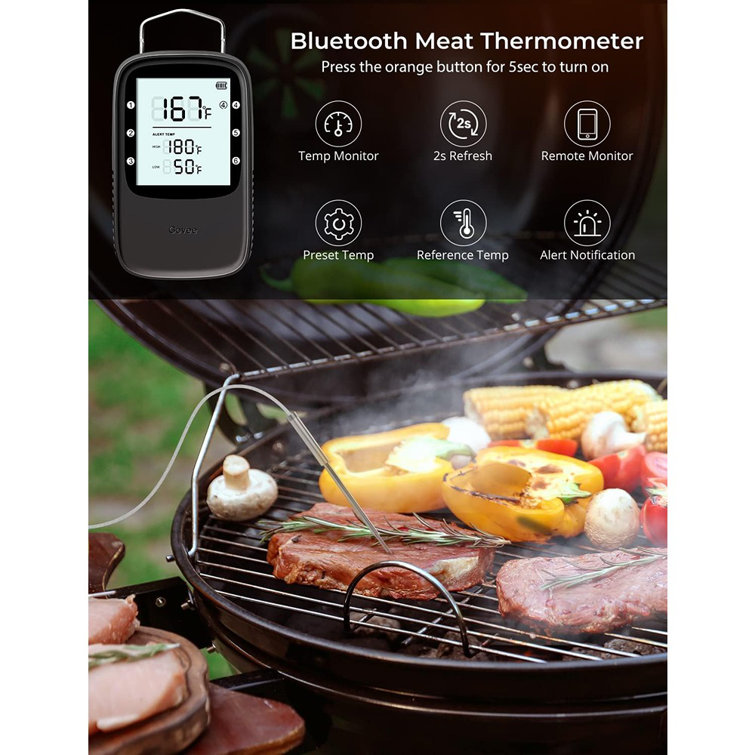 https://assets.wfcdn.com/im/65504021/resize-h755-w755%5Ecompr-r85/2587/258796429/Govee+Meat+Thermometer.jpg