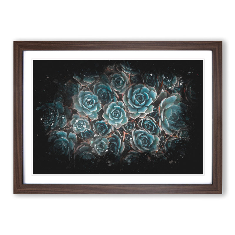 Succulent Plants - Picture Frame Graphic Art Print, 45cm H x 63cm W x 2cm D, Walnut Framed