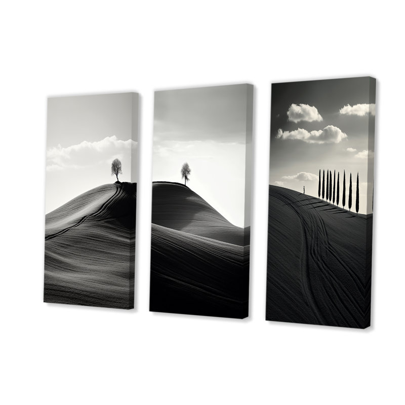 Paysage de désert noir et blanc, H 28 po x l 36 po, Toile tendue
