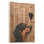 «Dog Au Vin Dachshund», affiche vintage sur bois