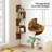 Set of 2 Floating Corner Shelves for Wall, 4-Tier Corner Bookshelves for Living Room
