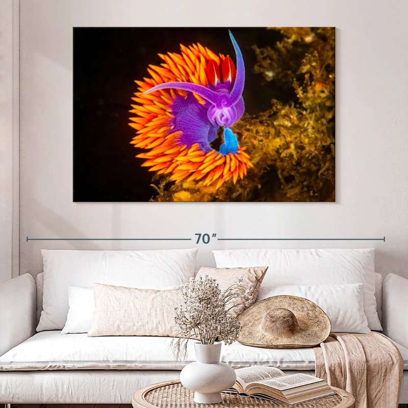 Crowle Spanish Shawl Nudibranch