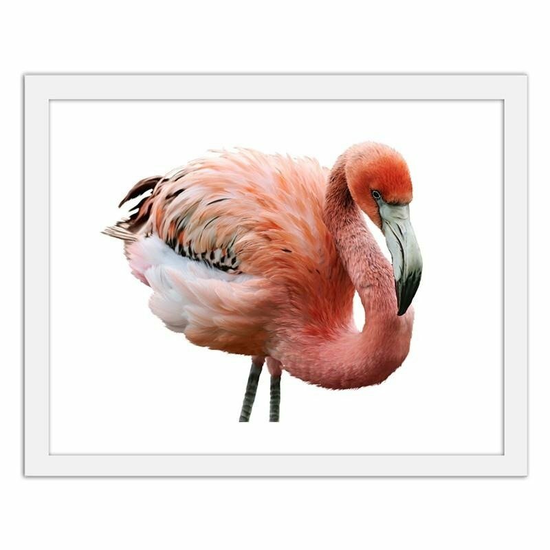 Gerahmtes Poster Pink Flamingo