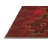 Oriental Indoor Rug