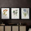 Nature imprimé Botanicals vii - impression sur mesure encadrée de qualité supérieure - 3 pièces-728451892-728451893