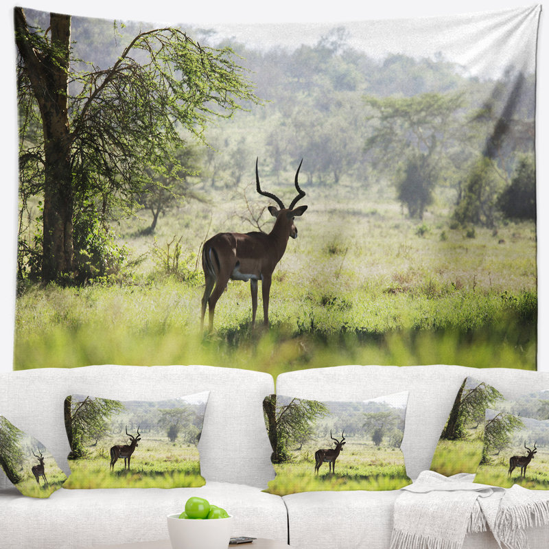 Tapisserie solitary antilope park landscape, H 32 po x l 39 po