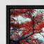 Here and Elsewhere XVIII Framed Photographic Print Canvas by David Keochkerian