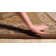 Dussault Wool Oriental Indoor Rug