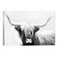 Highland Longhorn by Danita Delimont - Print on Canvas-1145362435-1172184302