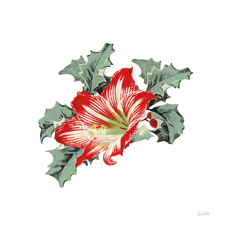 Farmhouse Christmas Floral III, H 30 po x l 30 po, Non, Encadrement argenté