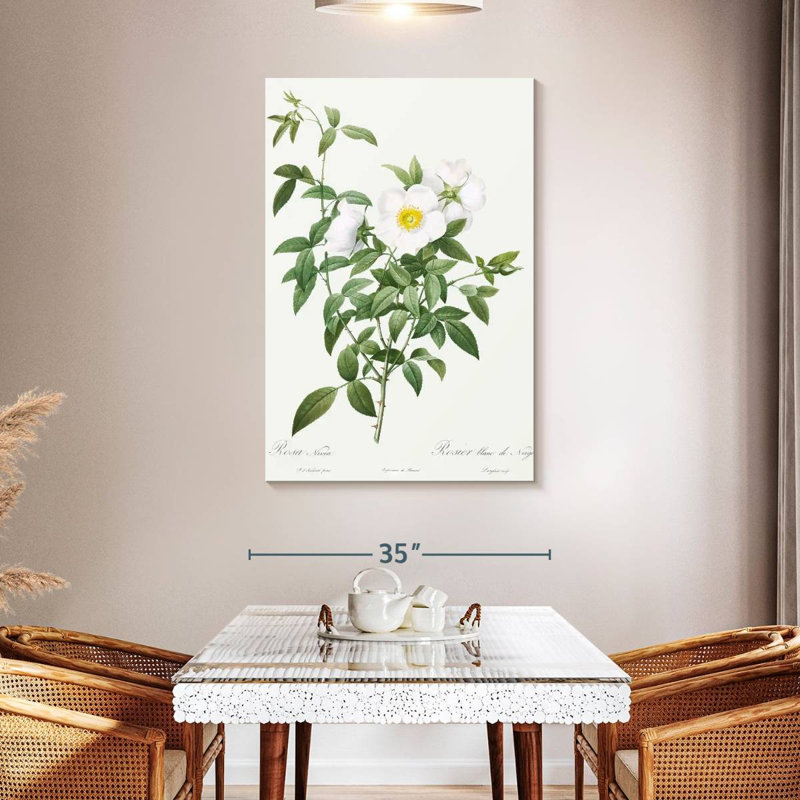 Harnek Rosa Nivea, 48" H x 32" W