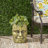 Pot Planter