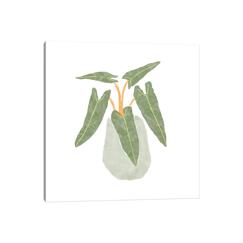 Philodendron Billietiae II by Bannarot - Wrapped Canvas Print, 93.98 cm H x 93.98 cm W x 3.175 cm D