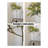 High Imitation Green Plant Jacaranda Tree