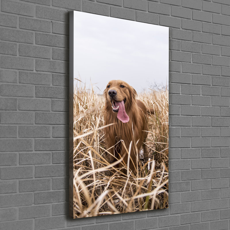 Golden Retriever - Wrapped Canvas Print