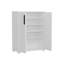 Baneen 8 Pair Shoe Storage Cabinet